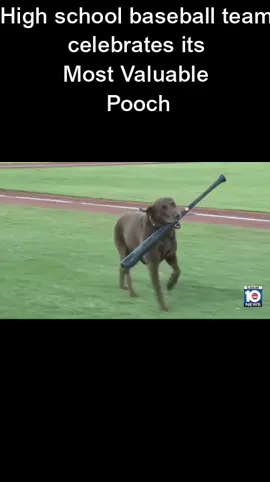 High school baseball team celebrates its Most Valuable Pooch