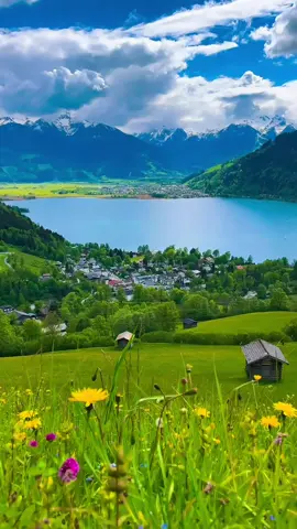 negeri pegunungan Alpen yang penuh pesona dan sejarah dunia.🇦🇹#austria #faktadunia #faktamenarik #masukberandafyp #SatuDunia 
