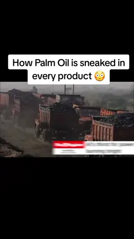 Climate Town explains how Palm Oil is sneaked in every product #fyp #palmoil #viral 