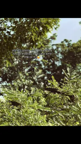 সব'ই সময়.!😅