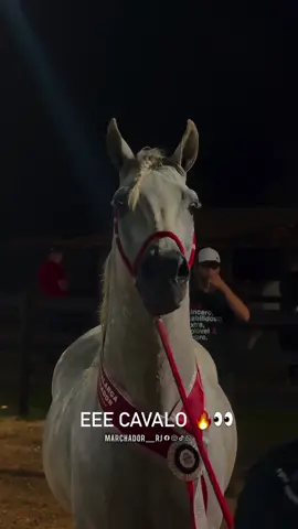 QUERUBIM RIO MINAS BARÃO VERMELHO 🔥 QUE CAVALO LINDO TURMA 🔥 #puramarcha #portalmarchador #aqtempaixão #aquitemmarcha #guiraguira                  viral
