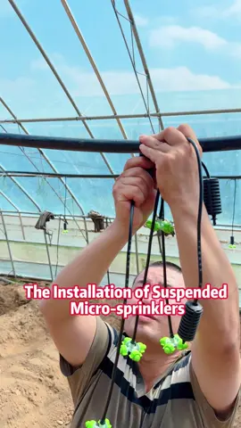 #上热门🔥🔥🔥 Greenhouse mist nozzle installation, spraying effect, suitable for seedling cultivation, mist cooling.#dripirrigationsystem #上热门🔥 #atomizingnozzle #nozzle 