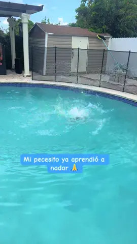 Q tranquilidad m da esto 🥹#fypシ #tiktok #inlove❤️ #miamorbonito✨ 