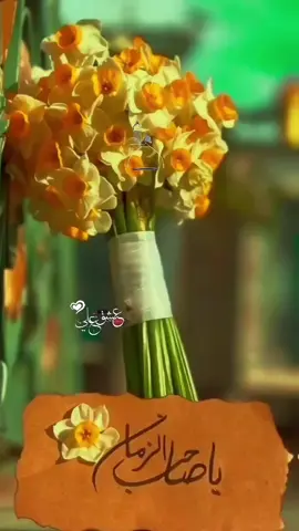 𝙅𝙤𝙞𝙣 𝙡𝙞𝙣𝙠 𝙞𝙣 𝙗𝙞𝙤_👉🏻❤️ #foryou #foryoupage #fyp #viral #💫glintofthoughts💫 