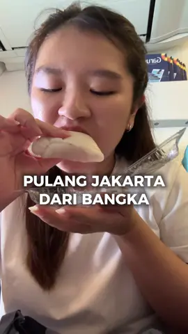 abis ini jalan-jalan ke kota mana lagi yaa🥹  #traveling #pulangkampung #tiktokfood #vlogmakan #pesawatterbang #minivlog 