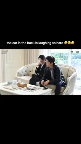 con mèo kiềm chế zữ lắm gòi á chứ hong là cười ha hả ra đó gòiii 🤣🤣🤣🤣 #fuxinbo付辛博 #zhangxincheng #JITD #behindthescenes 