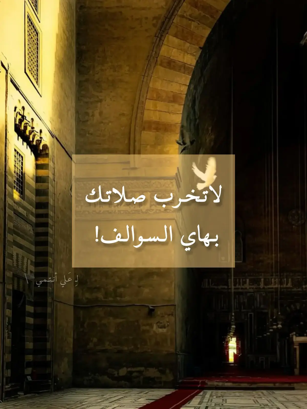 #دعاء_الندبة #الصلاة #رسول_الله_صلى_الله_عليه_وسلم #تصميمي #فاطمه_الزهراء 