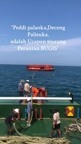 #bugisbone #ceritapelautindonesia🚢🇮🇩 #fyppppppppppppppppppppppp 