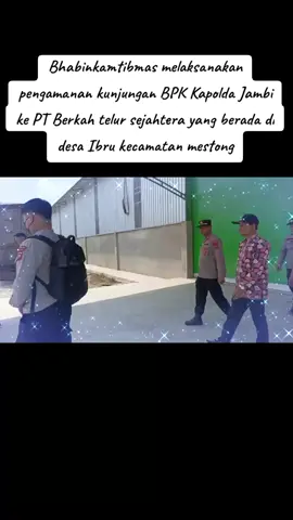 #CapCut Bhabinkamtibmas melaksanakan pengamanan kunjungan Bpk Kapolda Jambi Ke PT Berkah telur sejahtera yang berada di RT 04 Desa Ibru kecamatan Mestong Kab Muaro jambi#herisupriawan04 #Binmaspoldajambi #listyosigitprabowo #Bambangbayususeno 