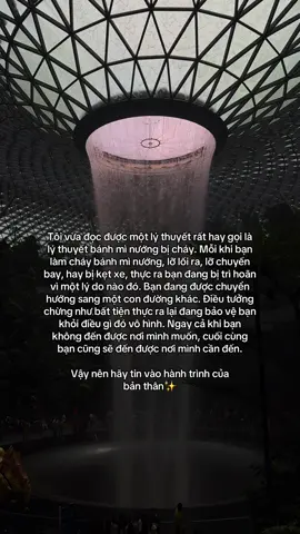 Bánh mì cháy, chuyến xe lỡ, cuộc hẹn trễ. Khi nhìn vào, bạn có thể thấy đó chỉ là những rối rắm nhỏ trong đời nhưng nếu lắng nghe bạn sẽ thấy rằng mọi trục trặc ấy đều mang một thông điệp dịu dàng: vũ trụ đang nhắc bạn dừng lại, hít thở và nhận ra rằng bình yên không nằm ở việc mọi thứ hoàn hảo mà ở khả năng chấp nhận, thấu cảm và trân trọng chính mình. Mỗi khoảnh khắc tưởng như thất bại đều là cơ hội để chữa lành, để quan sát nhịp tim, để hiểu rõ hơn những gì bạn thực sự cần, trước khi bước tiếp trên hành trình dài phía trước✨  #fyp #fypシ゚ #foryou #nguoibinhthuong 