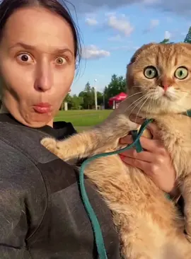 POV: imitates my cat and see how she reacts #cat #funnyvideo #fyp #funnycat #catoftiktok #funnytiktok 