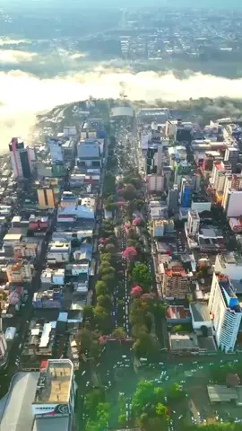 Rincón Feliz donde Nací ❣️ #ciudaddelestepy🇵🇾♥️ 