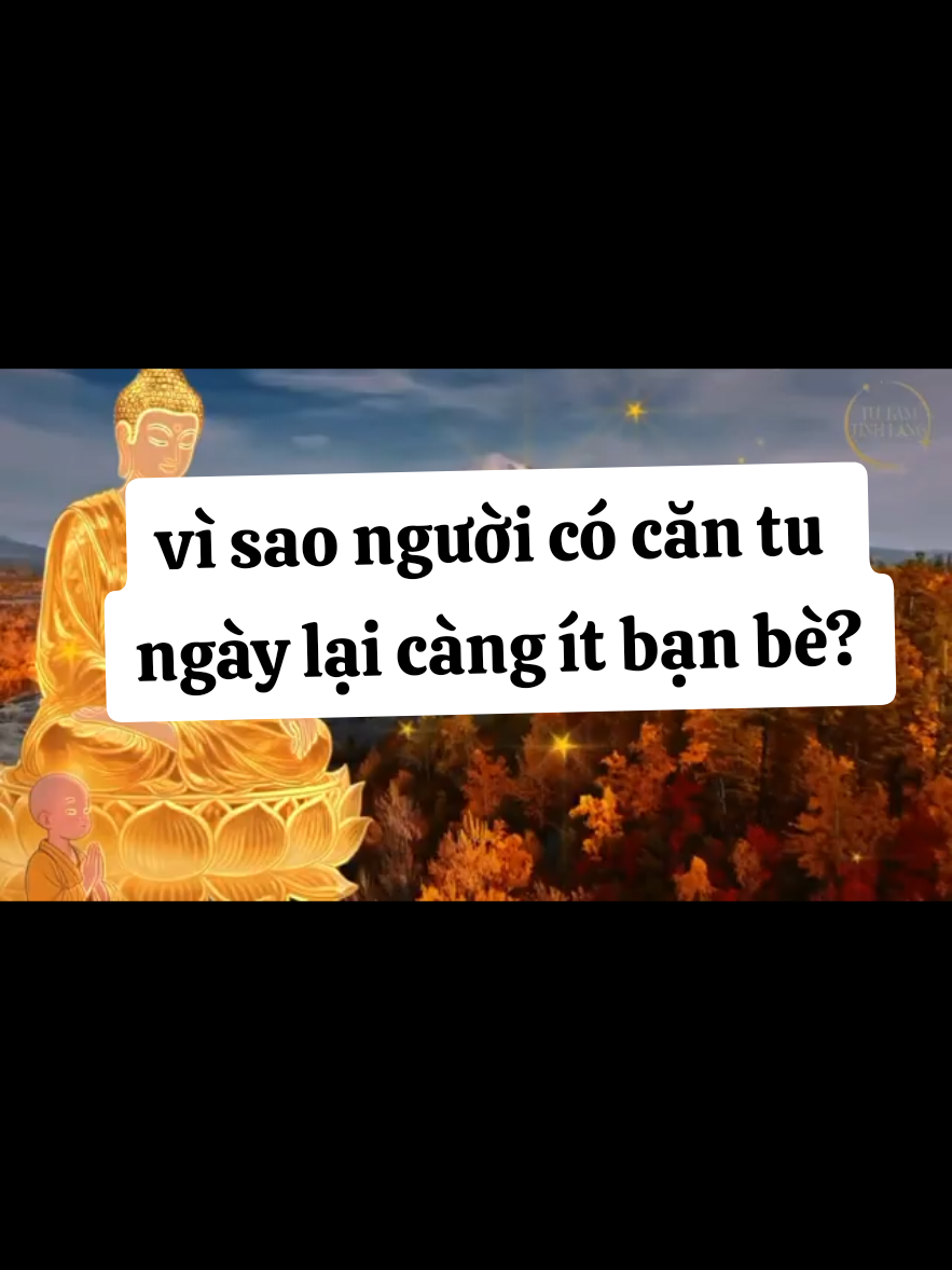 Vì sao Người có căn tu ngày càng ít bạn bè? #cantu #giacngo #tamlinh #phatphapnhiemmau #xuhuong 