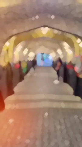 مقامِ زعفرِجن #viralvideo #hit #trending #livehighlights #video #trend #iraq #2025 #tiktoklive 