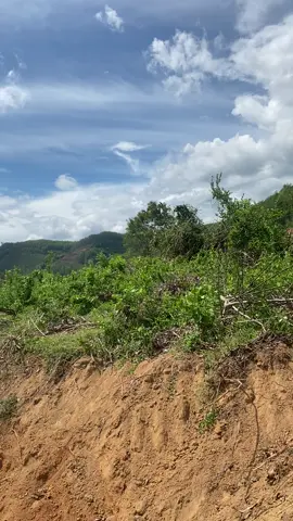 Ráng học y nhan  Mấy em nhỏ 😁