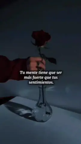 Noviembre Sin Ti - Reik @ReikMx  #noviembresinti #reik #teextraño #noviembre #dedicarvideos♡ 