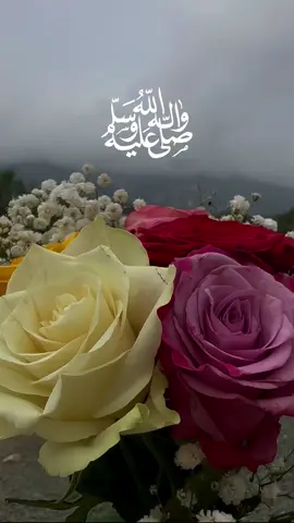 اللهم صل وسلم على نبينا محمد ﷺ❤️🕊️🌿