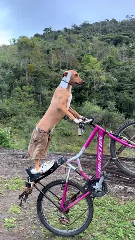 #graudebike 