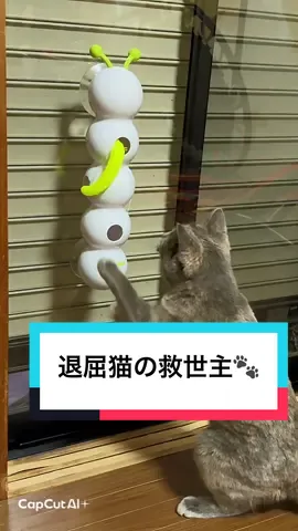 が退屈そうにしてソファをガリガリ…😿 そんな悩みを一瞬で解決！🐾 スマート毛虫おもちゃは、光センサーで自動に動き出して猫を夢中にさせます。 壁やガラスにペタッと貼るだけ、USB充電式で便利✨ ストレス解消＆家具も守れる、新しい遊び相手！」 ⸻ #猫おもちゃ #猫と暮らす #猫好きさんと繋がりたい #猫グッズ #自動おもちゃ   
