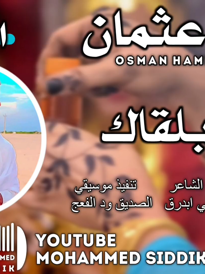 جديد الفنان حامد عثمان التايقر|الزي بلقاك بالحلال 2025