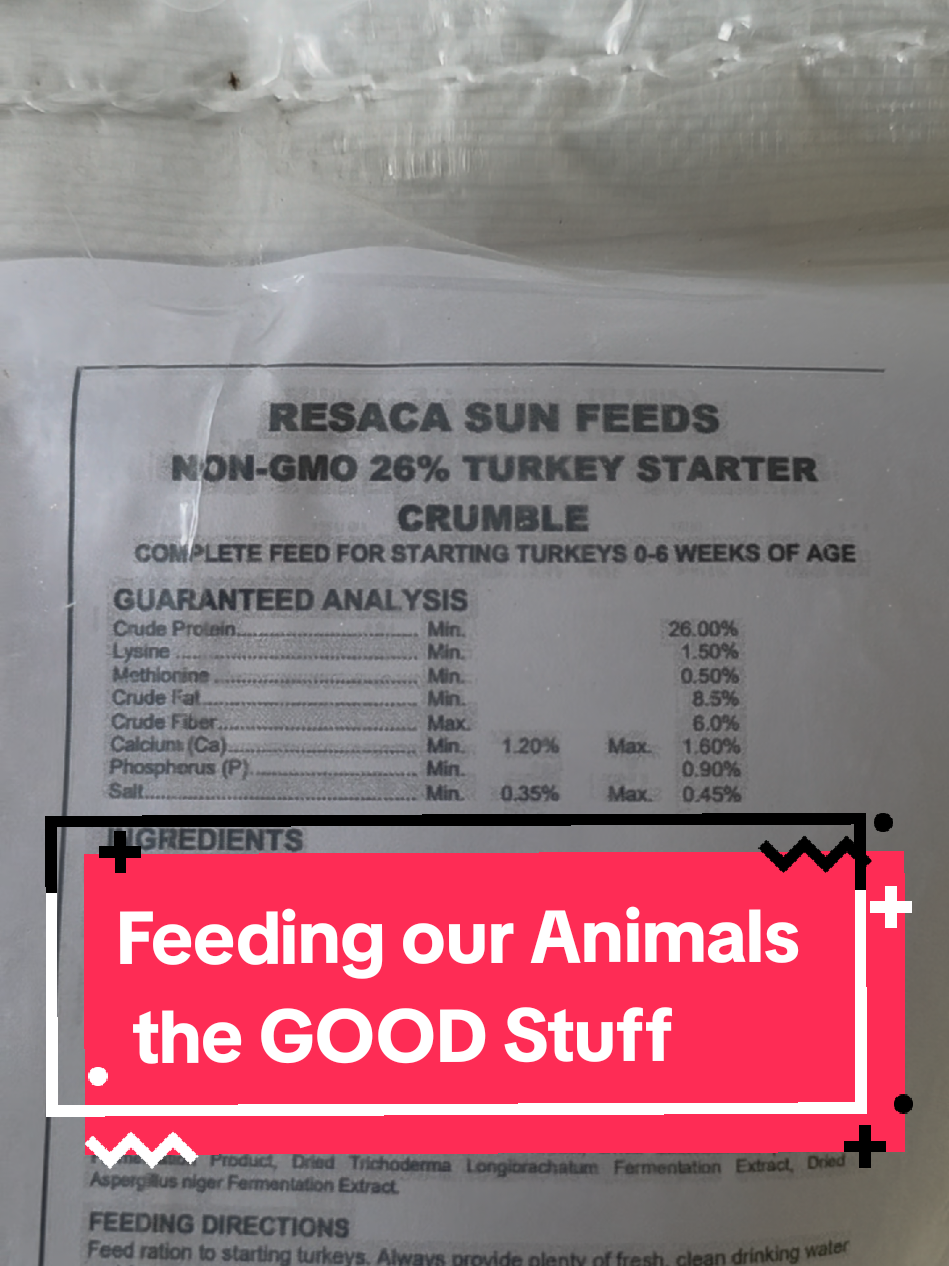 Just picked up our 1T totes from @Resacs Sun! Our American Bresse are thriving on non-GMO meat bird feed, and our pigs are loving the non-GMO corn & soy free pig feed. Healthy feed = healthier animals = better food for you.  #NonGMO #MeatBirdFeed #PigFeed #CornSoyFree #FarmLife     