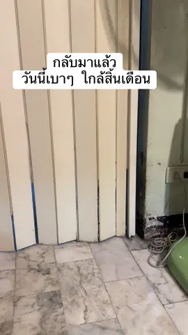 #sosaycat #catstory #แมวตลก 