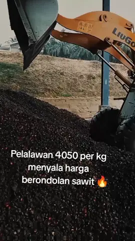 menyala berondolan🔥#berondolan #menyalaabangkuh🔥 