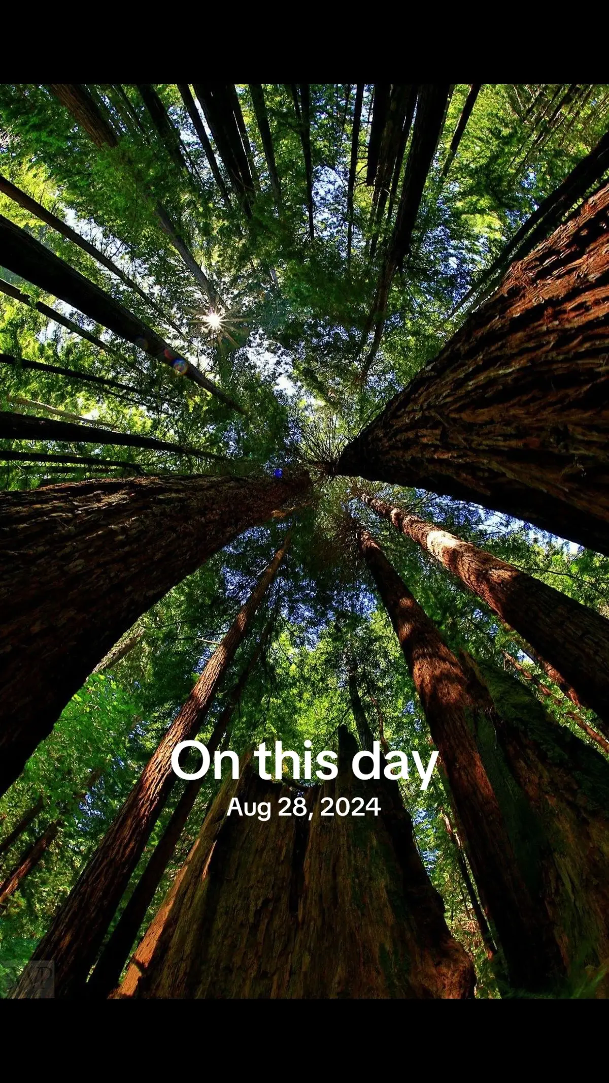 #onthisday 