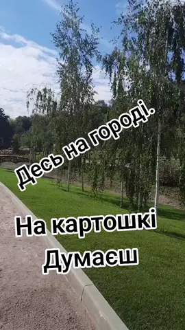 #цьогодня #тіктокврек #тіктокврекомендації #продовженя 