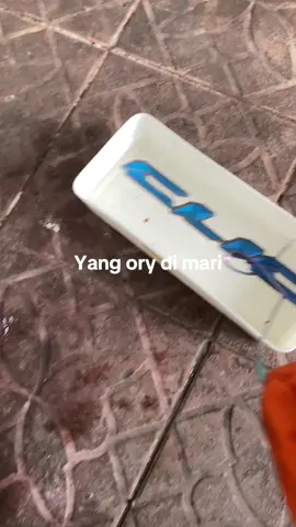Hati