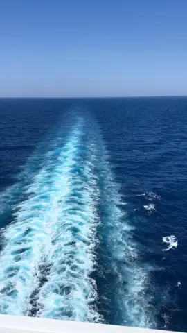#mscfantasia🚢 ❤️🌊