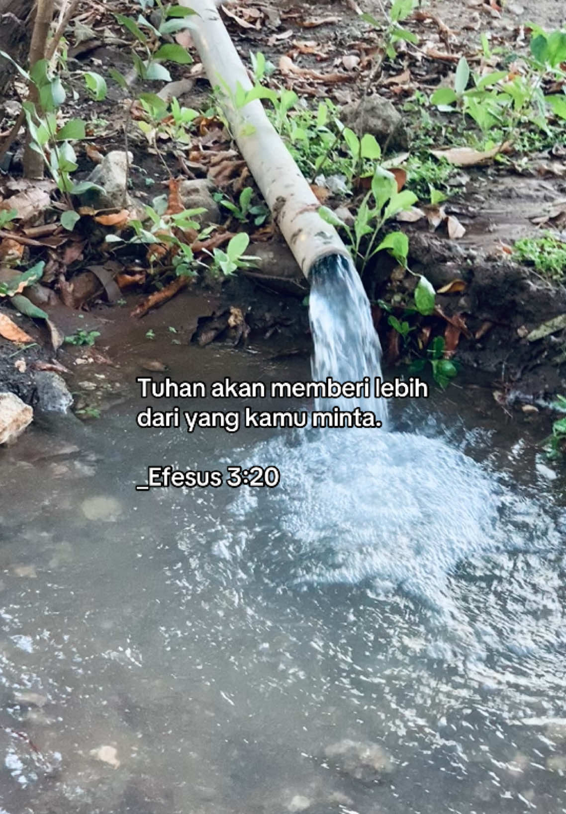 #bibleverse 🤍