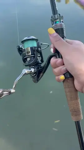 mancing ikan