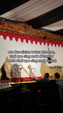 sing nandur bakal ngunduh #jowopride #jowokuciwoo #fyp #diberanda 