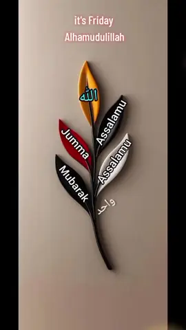 #bintiahmed578 