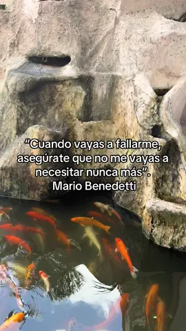 Piénsalo bien 🥀.                                            Porque ya hecho no hay perdón 💔 ni disculpas que valga ✍️#popular #tendencia #MarioBenedetti #fypシ゚viral🖤tiktok #escribe_tu_mejor_histora✍🏻🔁 