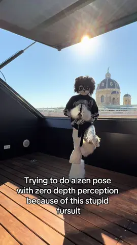 Not happening ig . . . #furry #kigurumi #kemono #fursuit #furrymeme 