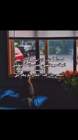 #اكسبلور #اقتباسات #كتاباتي #هواجيس 
