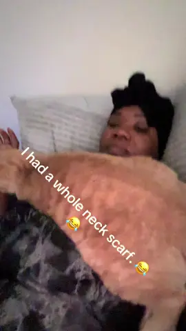 Just couldn’t be still!  #fyp #ollie #cuddle #neckscarf #catscarfchallenge 