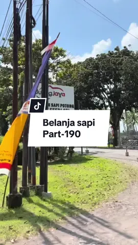 Meilih sapi berkualitas dengan harga murah sesuai keinginan customer kita tercintaa🤩🤩😍😍#fy #fyp #sapipotong #rph #farm  