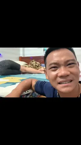 mỡ dâng tận mèo mà … #vinhtienle #contiendinh #phdtroll 