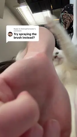 Replying to @BishopForrester #fypシ #fypシ゚viral #catbrushing #catsoftictok @burtsbeesUSA 
