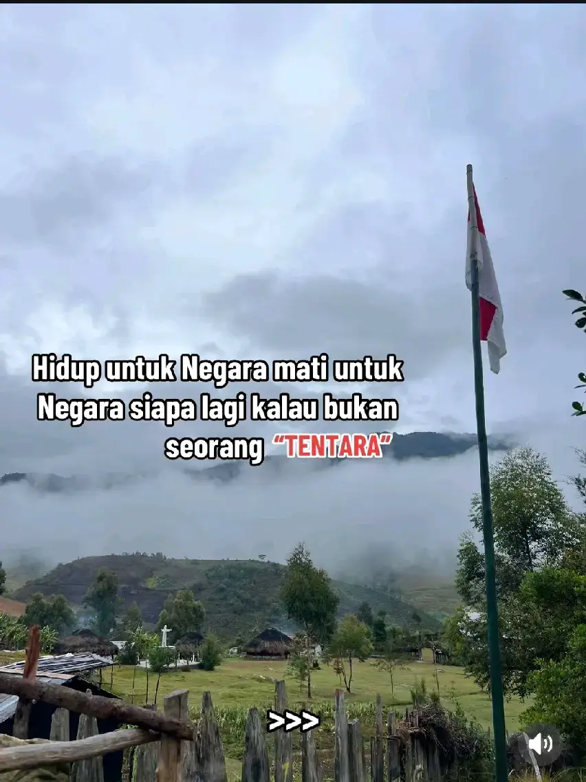 #masukberanda #masukbrandafyp #fyp #pedalamanpapua #ijinatasanijinsenior #fypage 