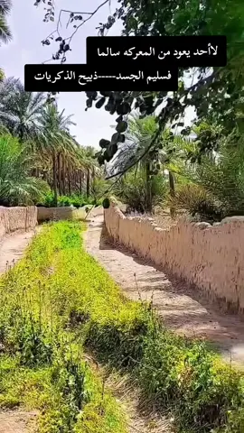 اصبر عل الشدايد لاتفكرلها#شعراء #شعر #تكتك_العرب #مليون_مشاهدة❤ 