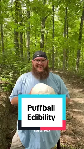 Here is a short video to show you how to tell if your puffball is in an edible state. This is not a species, identification video. There are species of paw that are not edible regardless of what stage they are in the life cycle. #onthisday #hoosierforager #puffball #mushroom #foraging 