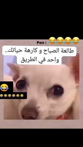 #😂😂 #😅 #🤣🤣 