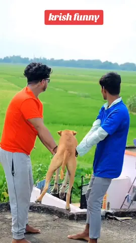 funny krish video #funnyfuel #prank #fypシ゚viral #veryfunny #veryveryfunny 