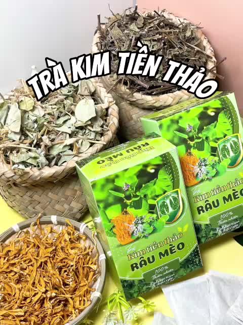 Trà Kim Tiền Thảo Râu Mèo – Trà Thảo Mộc Hỗ Trợ Sỏi Thận, Tiểu Buốt Tuổi Trung Niên 