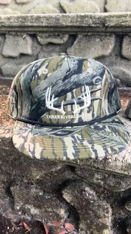 🦌🦌🦌