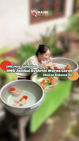 Ikan nguap artinya ngantuk, kurang oksigen, atau apa ya???